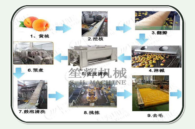 machine de nettoyage de l&eacute;gumes