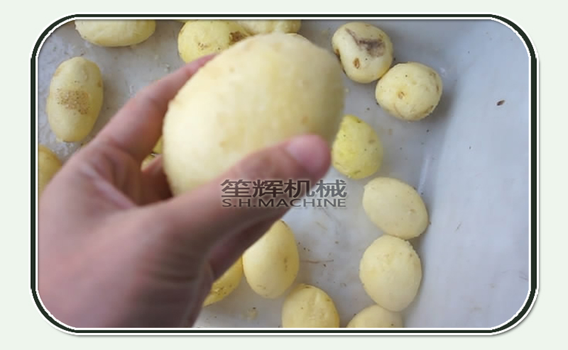 &eacute;plucheur de carottes &eacute;plucheuses