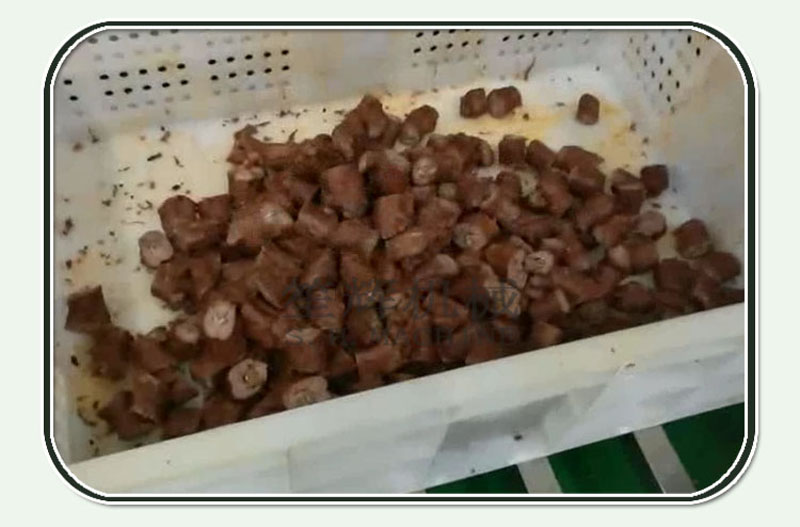 Coupeur de cou de poulet