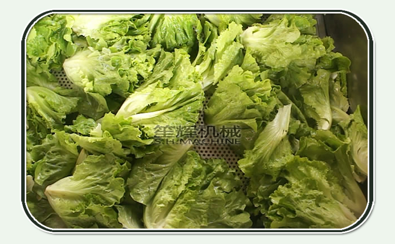 machine &agrave; laver les l&eacute;gumes &agrave; l'ozone