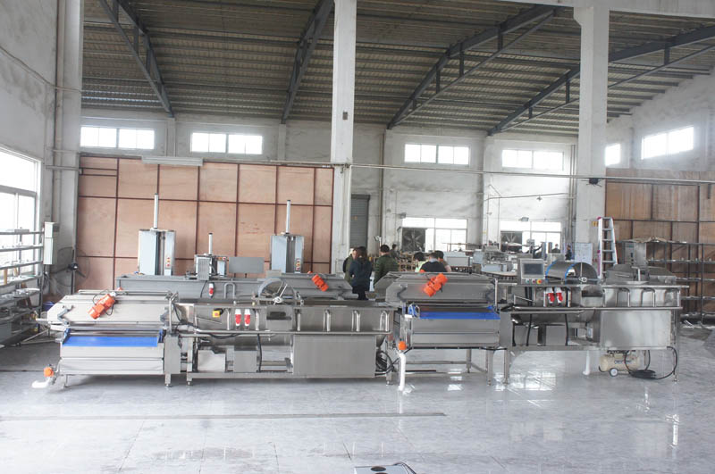 &eacute;quipement de traitement des l&eacute;gumes