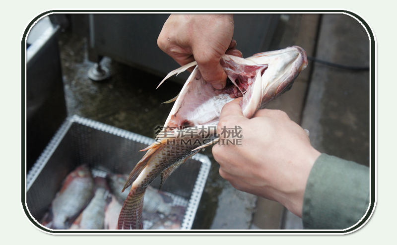 production de poisson-machine alimentaire-machine &agrave; poisson