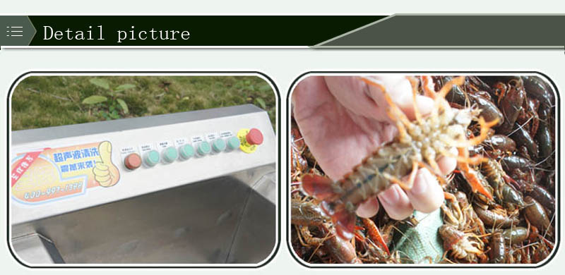 machine de traitement du poisson