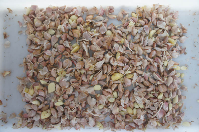 machine &agrave; craquelins &agrave; l'ail