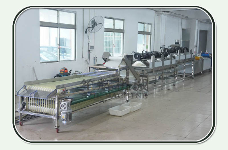 machine de tri des fruits