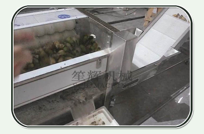 Noriko traitant la ligne 1