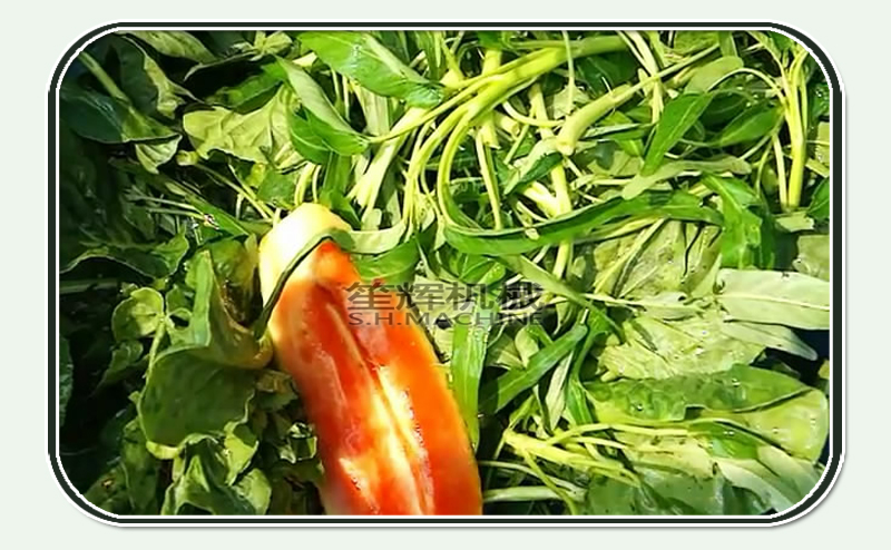 machine &agrave; laver les fruits et l&eacute;gumes