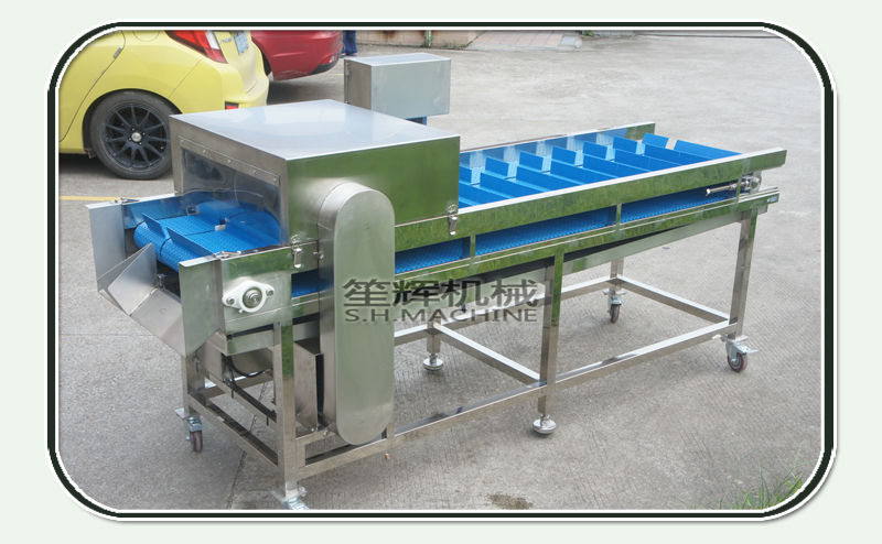 scie machine &agrave; d&eacute;couper-nourriture machine-d&eacute;coupeuse shenghui-poisson