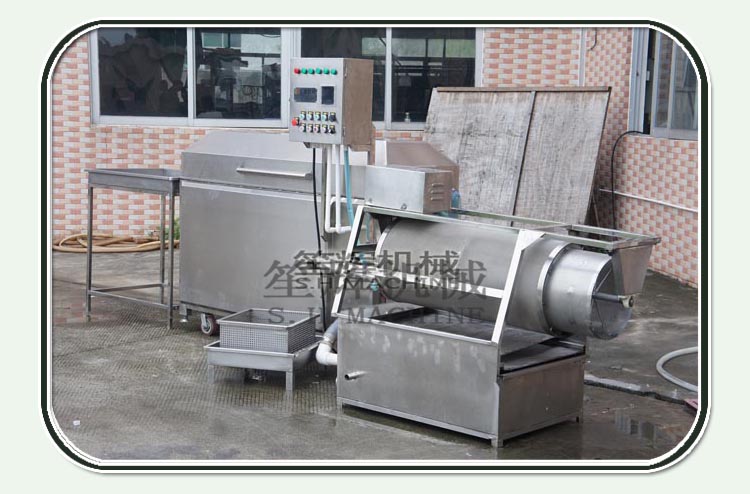 le poisson le d&eacute;calaminage machine