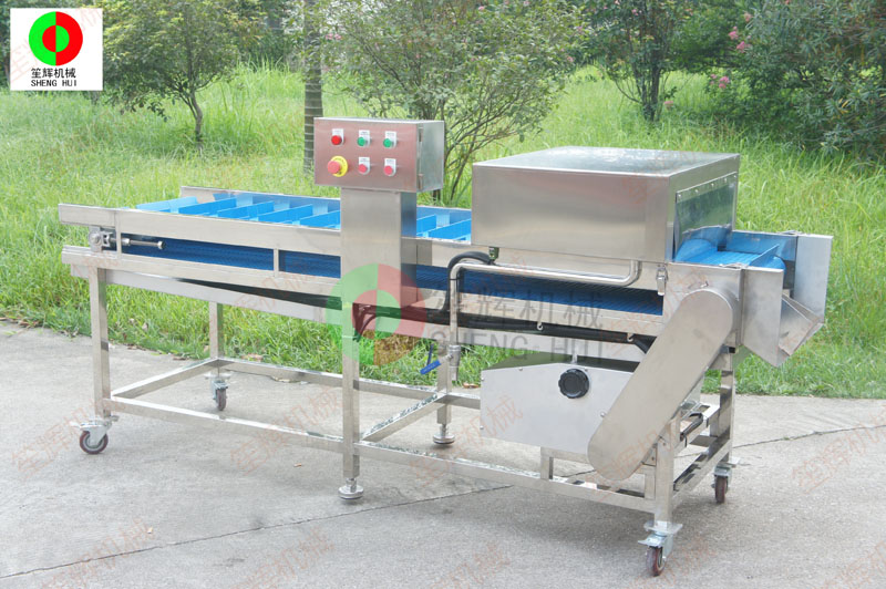 &eacute;quipement d'&eacute;cailles de poisson