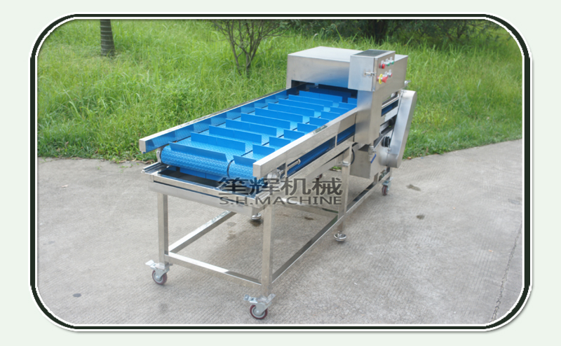petit poisson coupe machine-nourriture machine-shenghui-poisson coupe machine