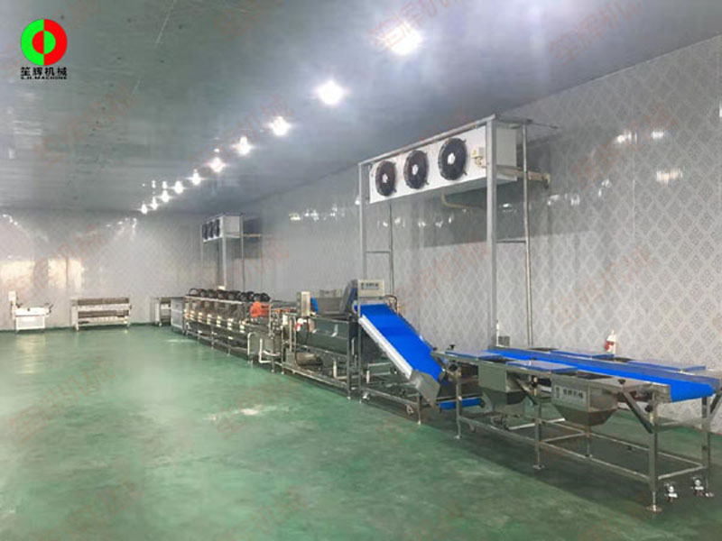 Installation de la chaîne de production pour la transformation des fruits et légumes chez les clients de Foshan, sur site