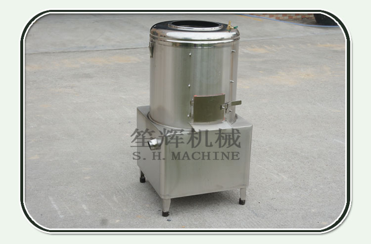 Swiss Vegetable cutting machine