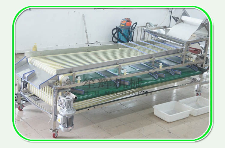 Nettoyant pour fruits