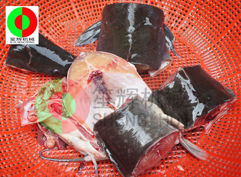 Où dois-je utiliser une machine à couper le poisson?