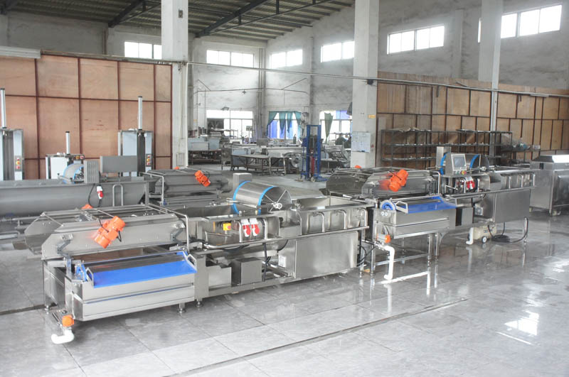 machine &agrave; laver les fruits et l&eacute;gumes